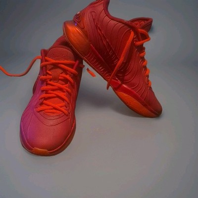 Nike LeBron 21 James Gang Red Orange Mid Top Basketball Sneakers HF5951-600