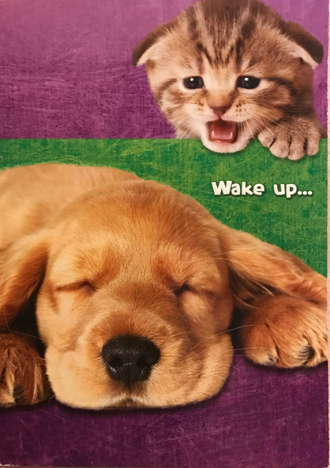 Wake Up to a Birthday Cake Surprise Greeting Card Wish-image