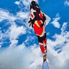 Popular Koi Kite Koi Kite Unique Multifunctional Easy to Use Portable Sturdy
