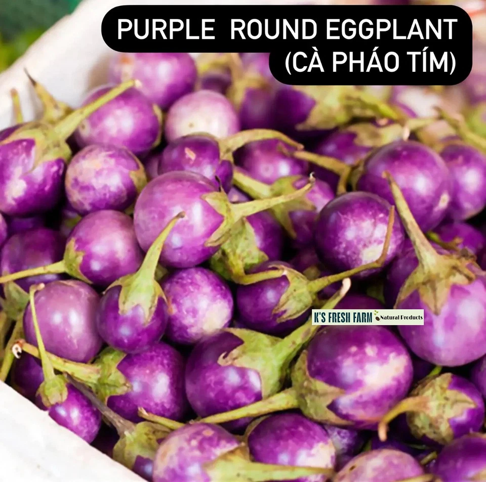 Eggplant Seeds(White+Purple Round/Long Purple/Green Thai) Cà Pháo/ Cà tím/Cà dĩa - Image 3 of 4
