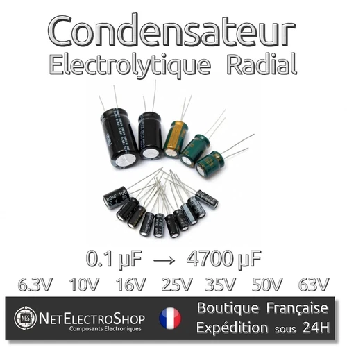 Electrolytic Chemical Capacitor - Choice: 0.1uF to 4700uF - 6.3V to 63V