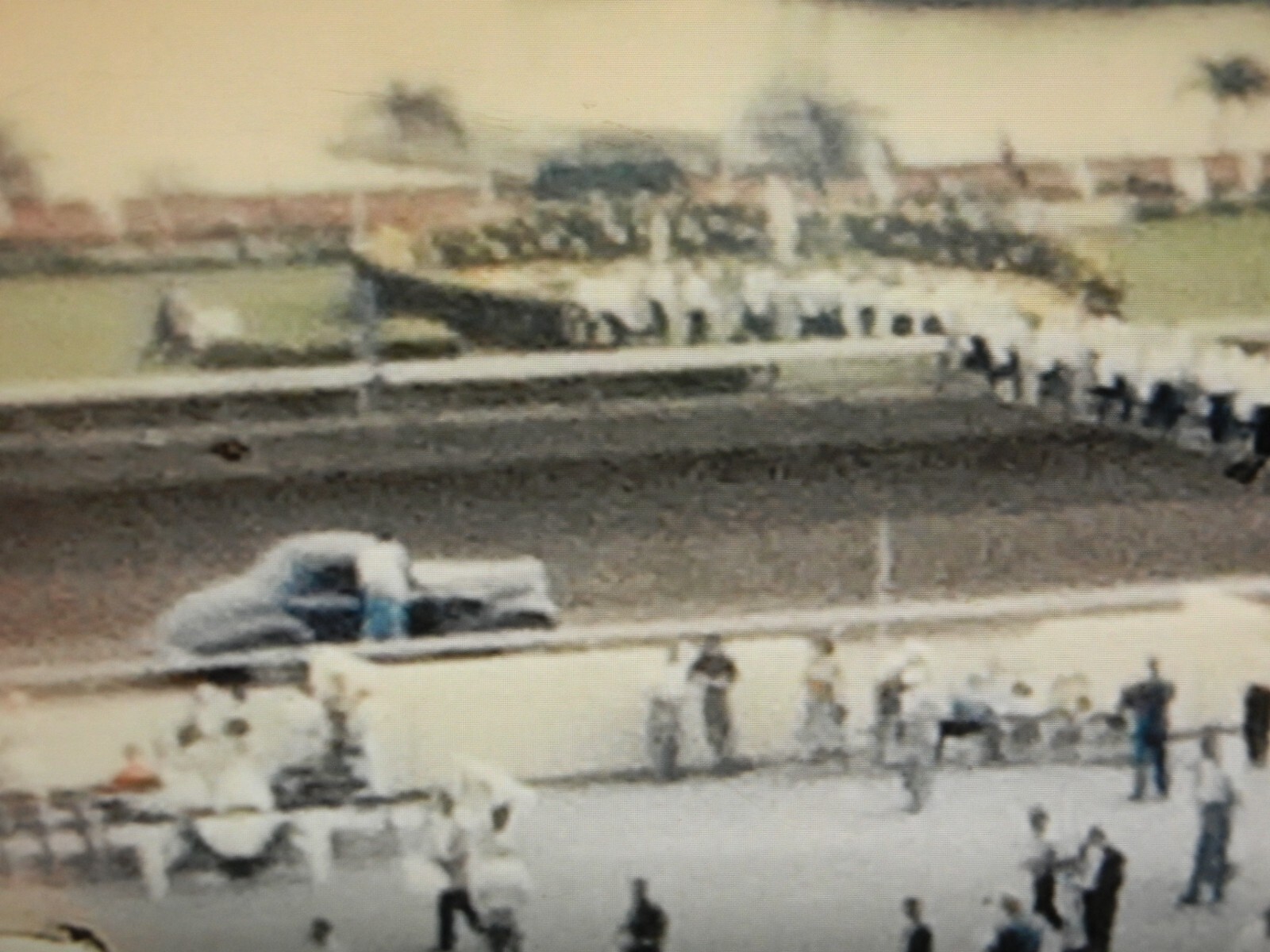 Std 8mm Silent Color TRAVEL 1961 SOUTH AMERICA?, MEXICO? HORSE SHOW