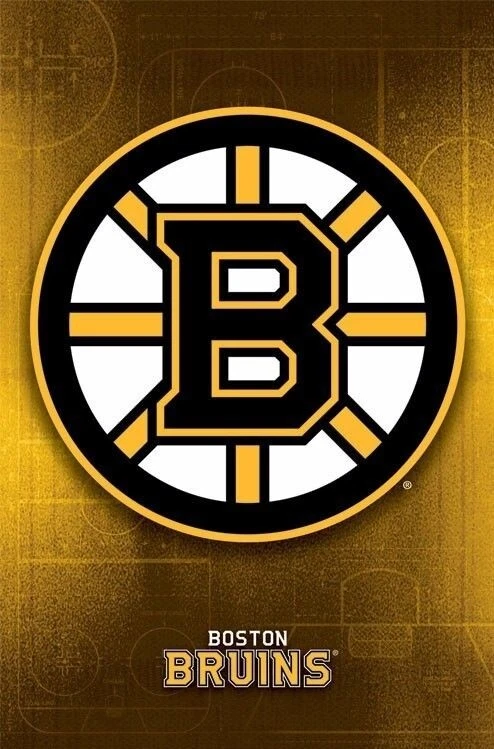 BOSTON BRUINS ~ RINK LOGO 22x34 POSTER National Hockey League NHL  NEW/ROLLED! | eBay