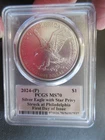 2024-P Silver Eagle With Star Privy PCGS MS70 First Day Issue David Hall Signed