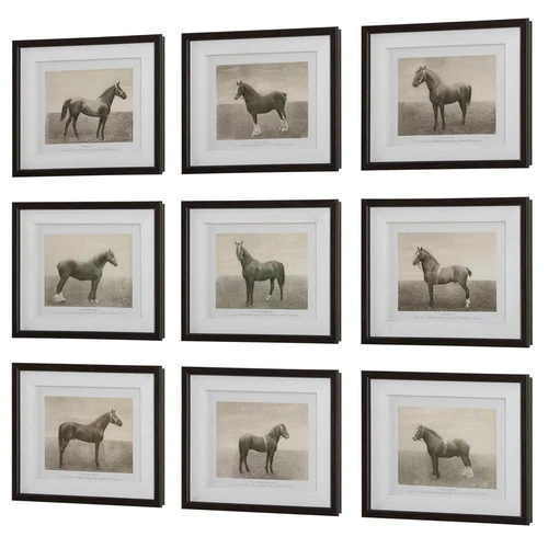 NINE EQUINE DYNASTY FRAMED PRINTS UNDER GLASS WALL ART PICTURES UTTERMOST 32343 - Picture 3 of 6