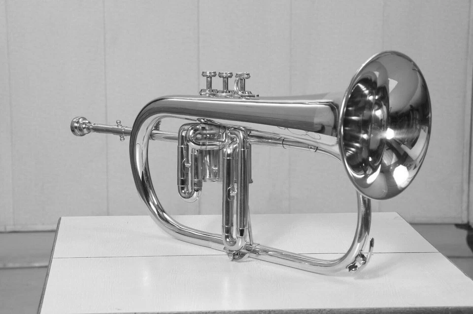 Flugelhorn acabado níquel BB paso con estuche rígido y boquilla Foto 4 de 4
