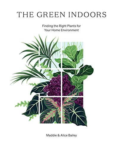 The Green Indoors: Finding the Right Plants for Your Home Enviro