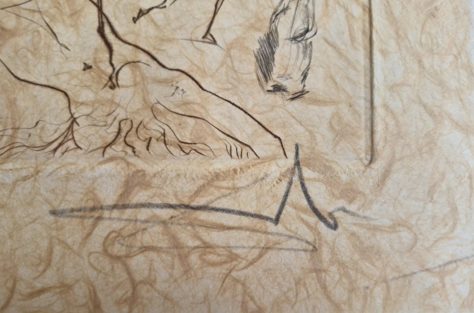 Salvador Dali Die Grausamen Schönheiten Farbkaltnadel Radierung Signiert Bild - Bild 4 von 4