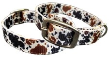 DOG COLLAR Showman Couture COW PRINT Adjustable Nylon with D Ring