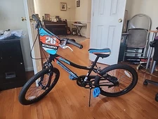 Kids Schwinn 20 inch Bike