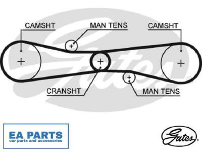Timing Belt GATES T275