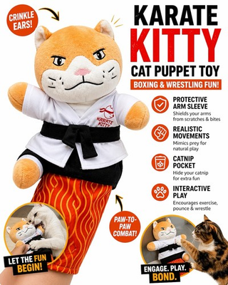 #ad Karate Kitty Cat Toy Puppet Arm Sleeve Interactive Catnip Wrestling Toy $19.99