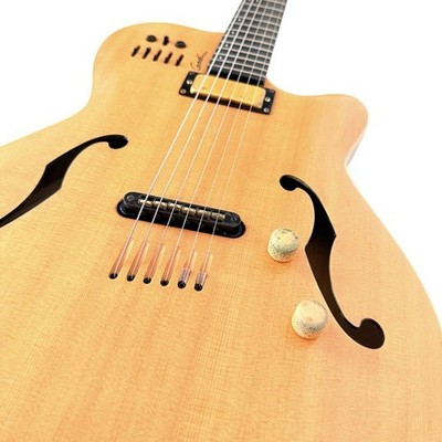 Rare Godin Multiac Jazz Sa Semi-Acoustic Guitar No.MG483 | eBay
