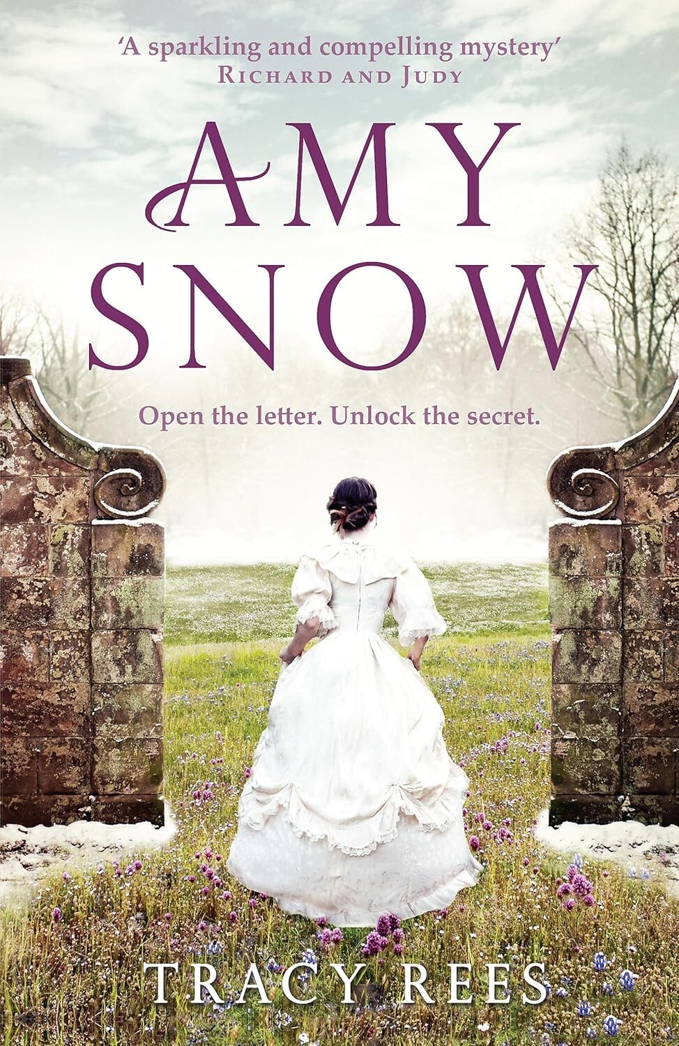Amy Snow by Tracy Rees (Paperback) Book New