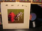 Rush – Signals ~ Vintage LP Mercury – SRM-1-4063