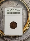 1903 1c MS 62  BRN  Indian Head Penny   T-210