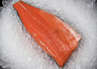 Seasonal Fresh Wild Alaskan King Salmon Fillets 3 LBS