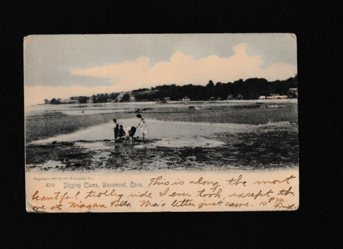 Vtg Postcard Beach Scene Children Digging Clams Woodmont Conn. Undivided 1905