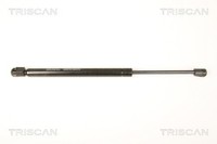 Triscan Gasfeder Heckscheibe 8710 80207 FüR Cherokee Jeep WK WH 3 CRD 4X4 SRT8