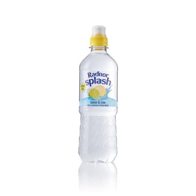Radnor Hills Splash Still Water Lemon and Lime 500ml 24er Pack 0201047