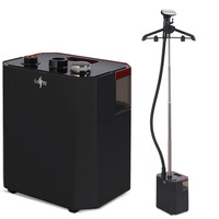 Professional Clothes Steamer 2200W with 45g/min Steam Flow – Upright