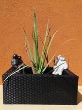 Heissner Mauerhocker Frosch als Liebespaar f�...