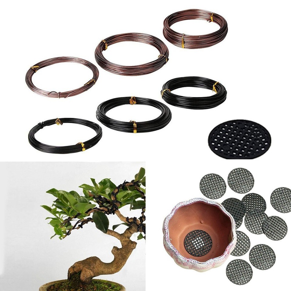 Versatile Bonsai Wire Kit with Black and Brown Options for Plant