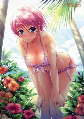 Kadokawa Enterbrain Walkure Romanze Mio Kisaki Swimsuit Bath Poster A3