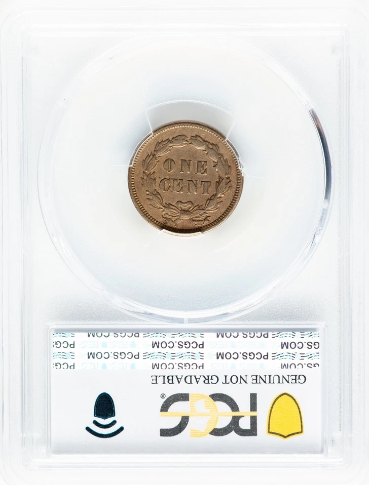 1859 Indian Cent - 1st Year Issue - PCGS XF Details - TERRIFIC COLLECTOR COIN - Image 2 of 2