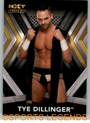 2017 NXT Roster #50 Tye Dillinger