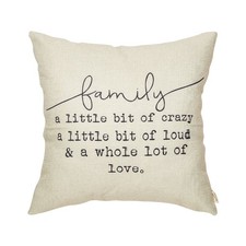 Family a Little Bit of Crazy Decorative Throw Pillow Cover Farmhouse Quote