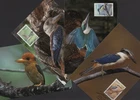 2010 Australian KINGFISHERS Birds Set of 4 Maxi Cards