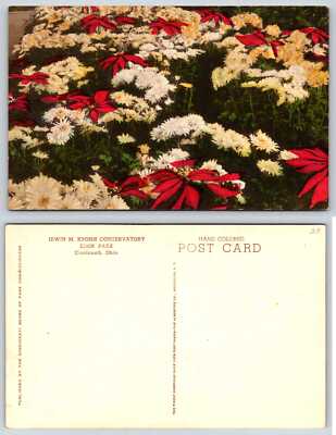 Cincinnati Ohio EDEN PARK KROHN CONSERVATORY FLOWERS Postcard U45
