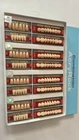 Teeth Acrylic Denture Ruthinium Acryrock 4 Full Set A2 M13, M14, M15, M17, M18