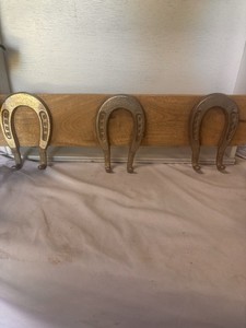 Horseshoe Hook Rack