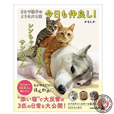A dog and cat that look just like parent and child! Yuki-chan Ren-chan and