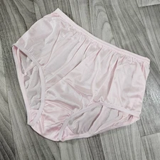 Nylon Brief Panty Classic Granny Panties by Teri Lingerie, Pastel Pink, Size 10