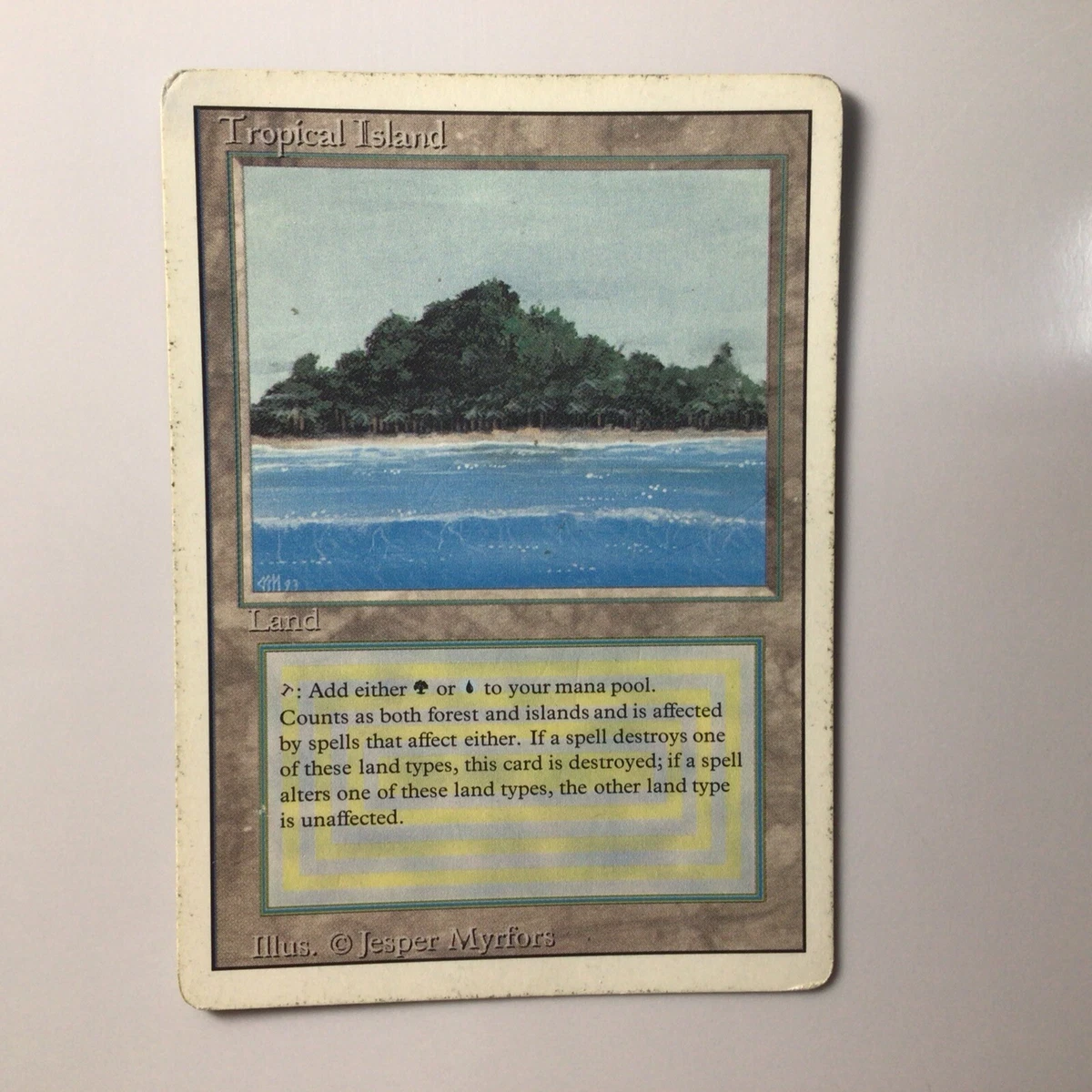 Heavily Played (Poor) Land Magic: The Gathering Trading Card Games