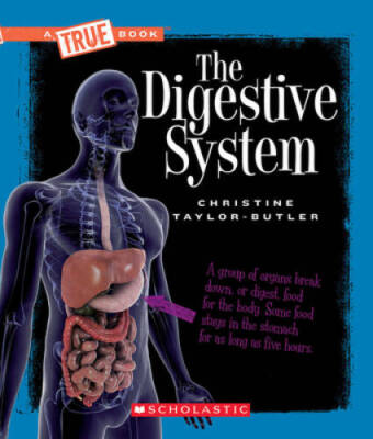 The Digestive System (New True Books: Health (Paperback)) - ACCEPTABLE