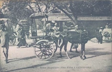 Britsh India CAWNPORE ekka carriage 1910s PC
