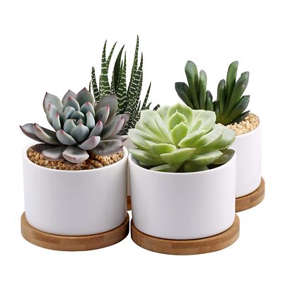 Succulent Planter, White Mini 3.15 inch Ceramic Flower Planter Pot with Bambo...