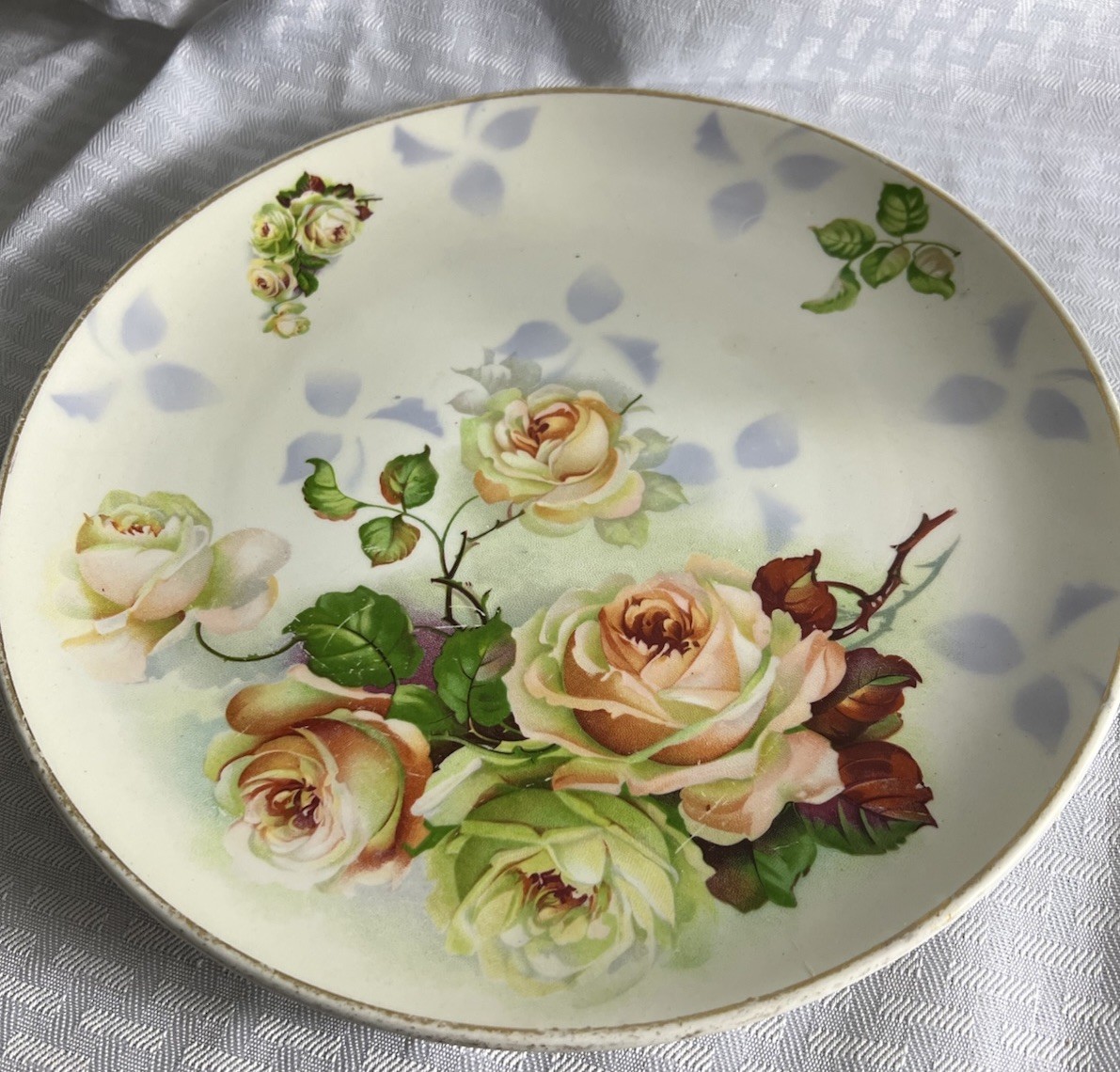 Dresden China Floral Rose 10” Plate R4586