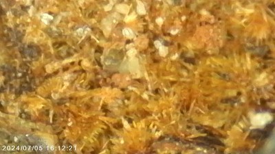 6- Piece Gold-Bearing Gossan Specimen Lot- Visible Native Gold Wire 57.31g