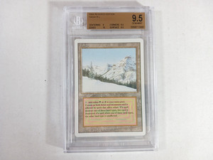 Revised Taiga | eBay