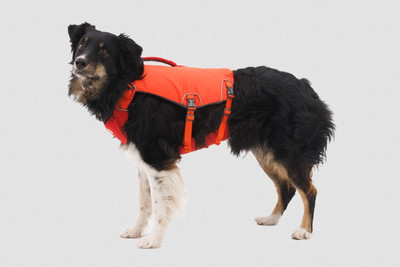 Ruffwear Confluence Dog Life Jacket Assorted Colours NEW | eBay
