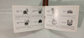 Nes Manuals: Wild Gunman & Super Mario Bros