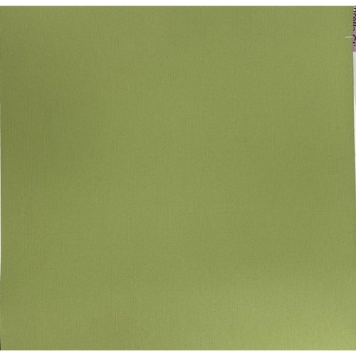 Solid green Tufted set of two 19"x19" cushions with fabric backrests, made in the USA, on a light background.
