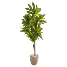 68-in Dracaena Artificial Plant in Sand Colored Planter (Real Touch)