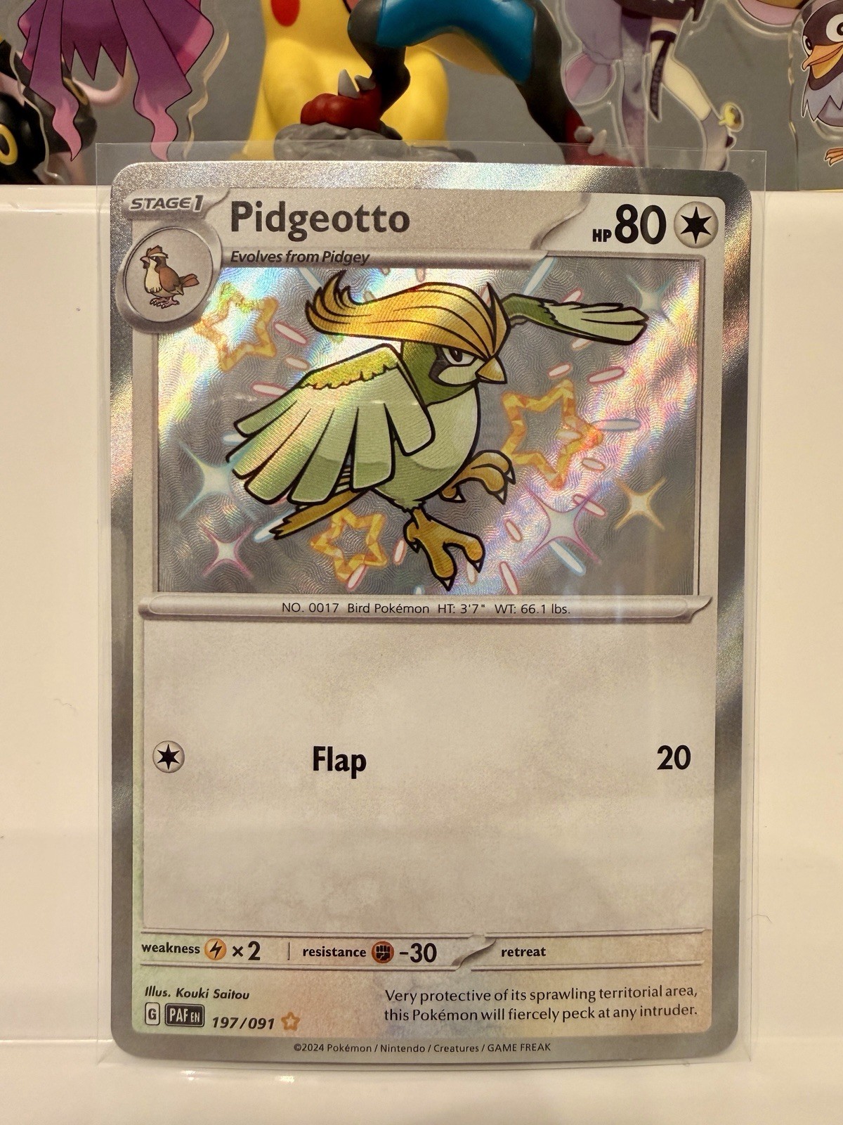 Pidgeotto 197/091 SV: Paldean Fates Holo