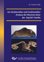 Zur Strukturellen Und Funktionellen Analyse Der Murinen Gene Der Hsp110 Familie